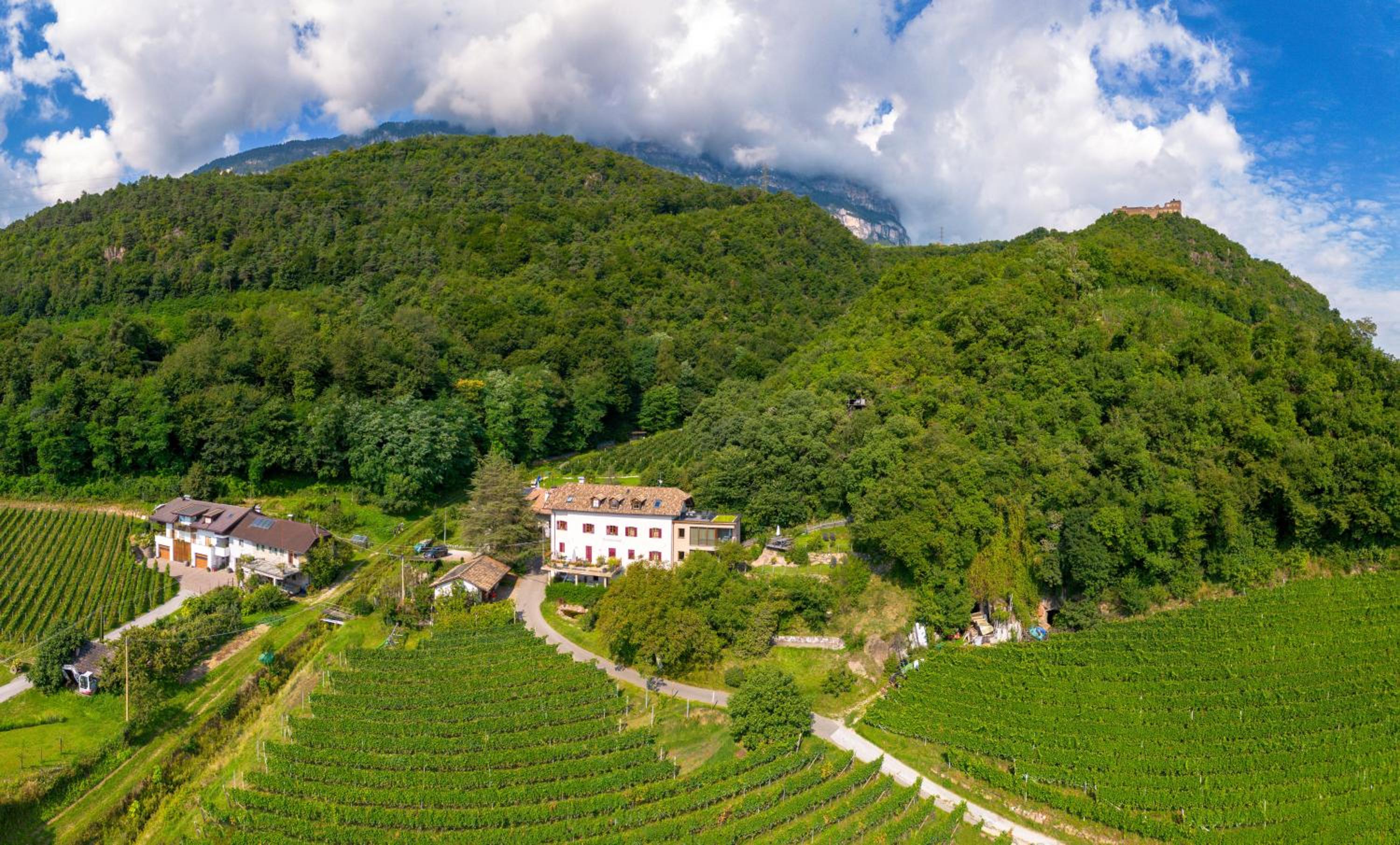 Panorama des Firmeleinhofs zwischen Weinbergen und bewaldeten Berghängen